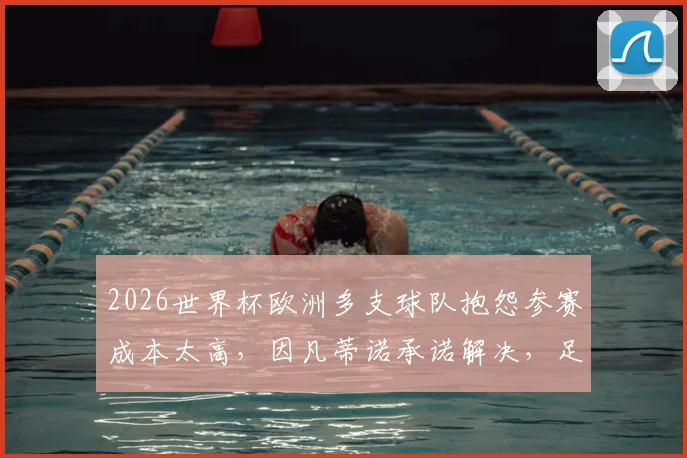 2026世界杯欧洲多支球队抱怨参赛成本太高,因凡蒂诺承诺解决,足球盛宴背后的经济账本公开